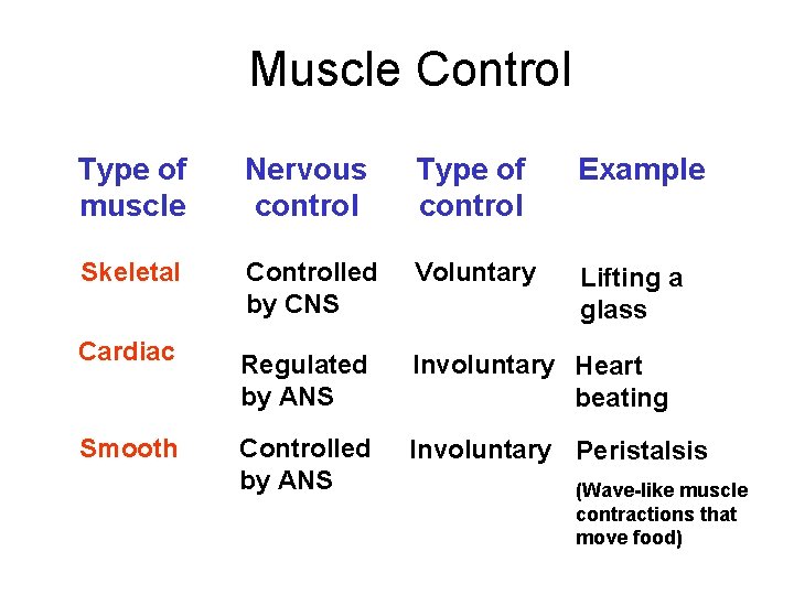 Muscle Control Type of muscle Nervous control Type of control Example Skeletal Controlled by Muscle Control Type of muscle Nervous control Type of control Example Skeletal Controlled by
