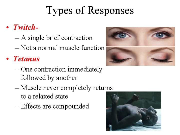 Types of Responses • Twitch– A single brief contraction – Not a normal muscle Types of Responses • Twitch– A single brief contraction – Not a normal muscle