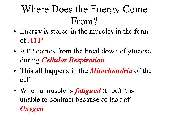 Where Does the Energy Come From? • Energy is stored in the muscles in Where Does the Energy Come From? • Energy is stored in the muscles in