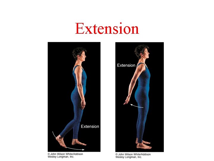 Extension Extension
