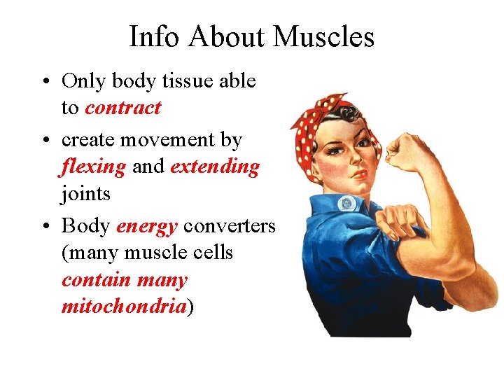 Info About Muscles • Only body tissue able to contract • create movement by Info About Muscles • Only body tissue able to contract • create movement by