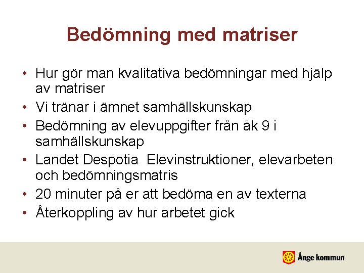 Bedömning med matriser • Hur gör man kvalitativa bedömningar med hjälp av matriser •