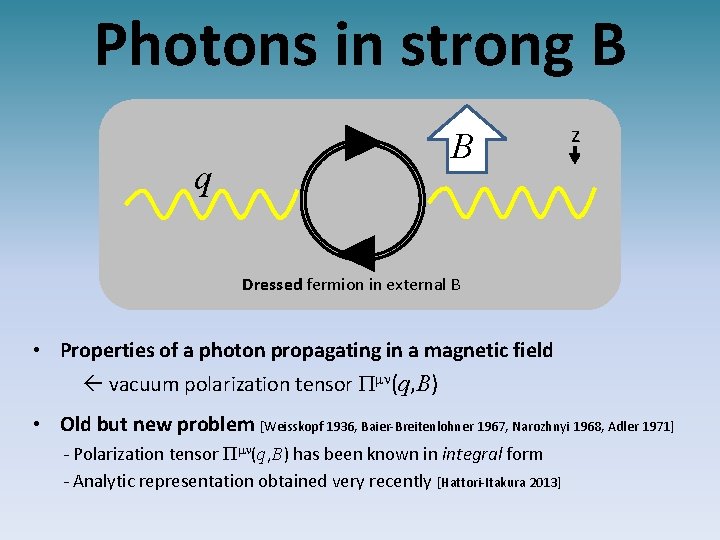 Photons in strong B B q z Dressed fermion in external B • Properties