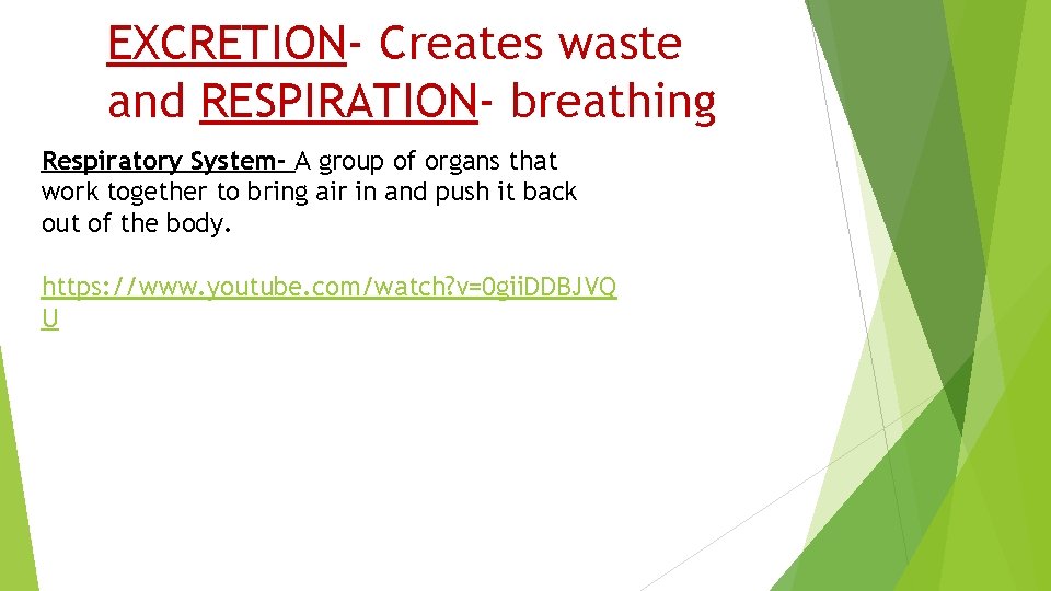 EXCRETION- Creates waste and RESPIRATION- breathing Respiratory System- A group of organs that work