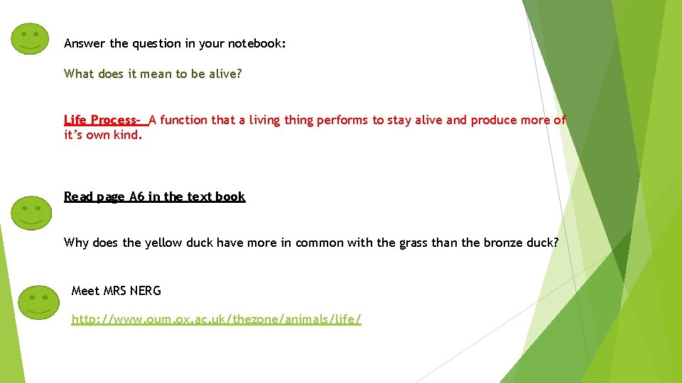 Answer the question in your notebook: What does it mean to be alive? Life