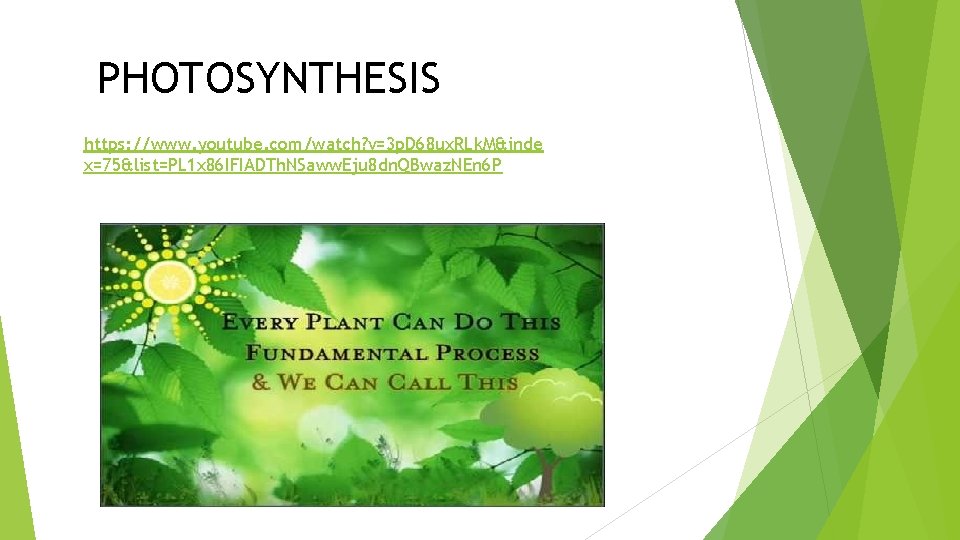 PHOTOSYNTHESIS https: //www. youtube. com/watch? v=3 p. D 68 ux. RLk. M&inde x=75&list=PL 1