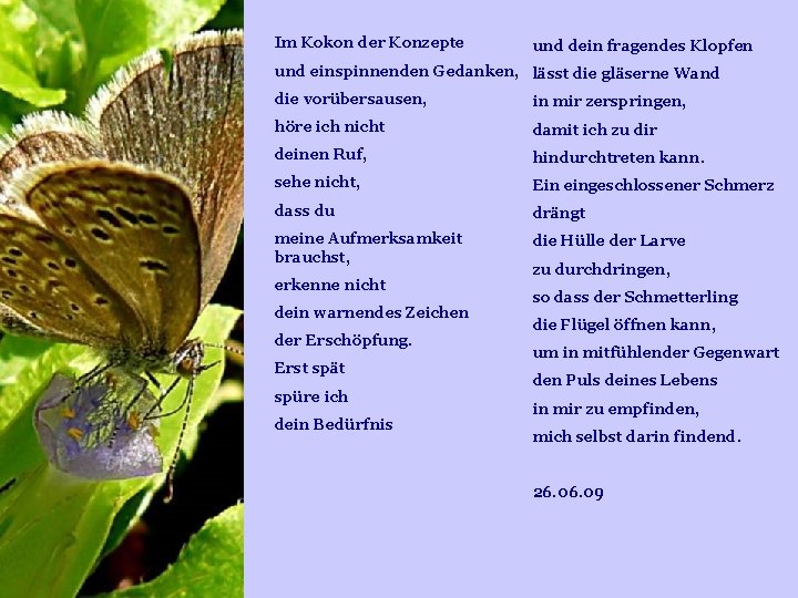 Im Kokon der Konzepte und dein fragendes Klopfen und einspinnenden Gedanken, lässt die gläserne Im Kokon der Konzepte und dein fragendes Klopfen und einspinnenden Gedanken, lässt die gläserne