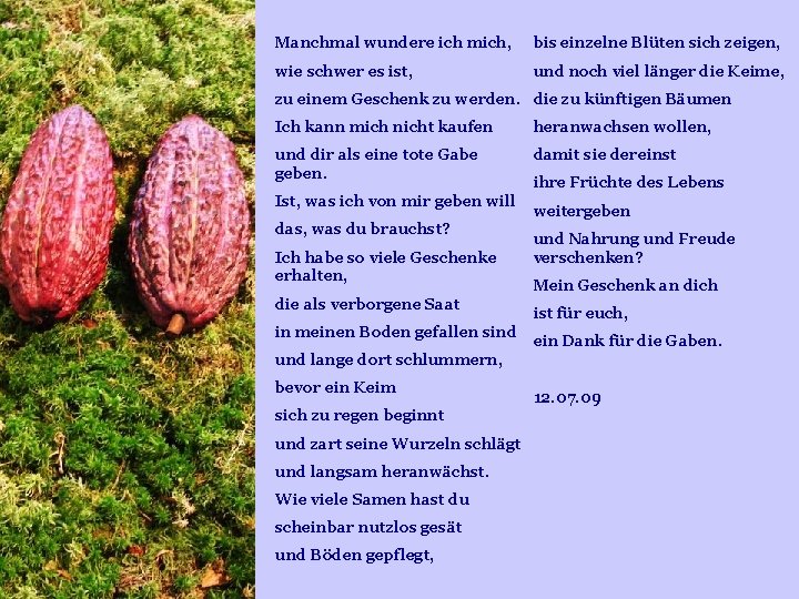 Manchmal wundere ich mich, bis einzelne Blüten sich zeigen, wie schwer es ist, und Manchmal wundere ich mich, bis einzelne Blüten sich zeigen, wie schwer es ist, und