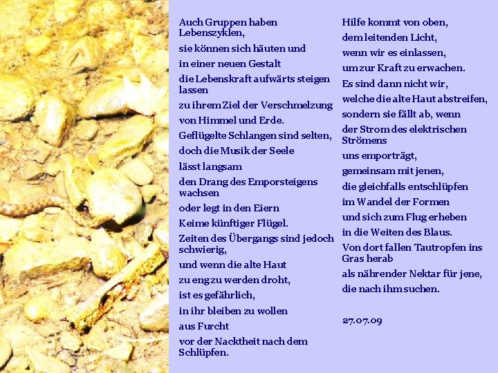 Auch Gruppen haben Lebenszyklen, sie können sich häuten und in einer neuen Gestalt die Auch Gruppen haben Lebenszyklen, sie können sich häuten und in einer neuen Gestalt die