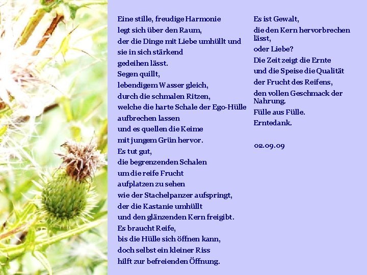 Eine stille, freudige Harmonie Es ist Gewalt, legt sich über den Raum, der die Eine stille, freudige Harmonie Es ist Gewalt, legt sich über den Raum, der die