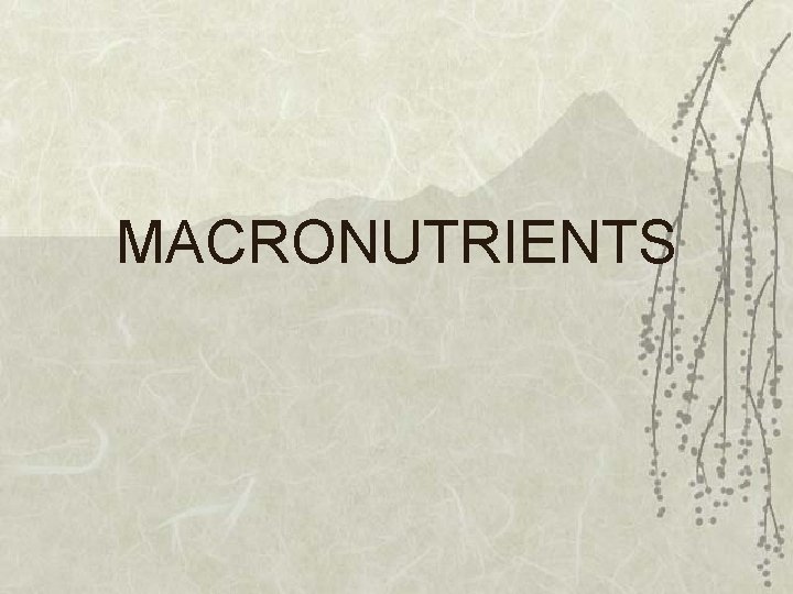 MACRONUTRIENTS 