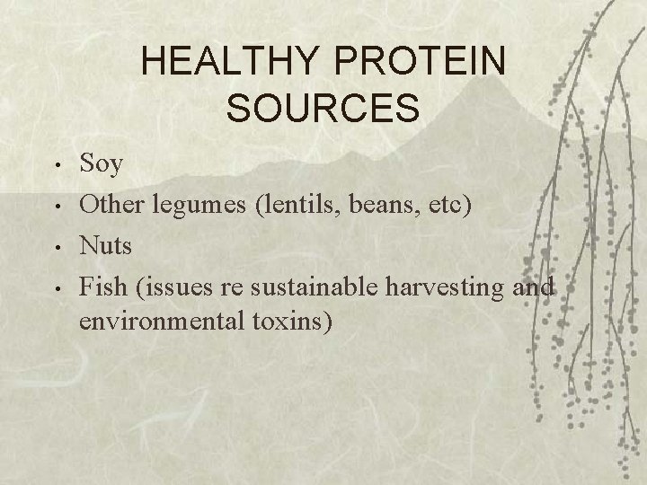 HEALTHY PROTEIN SOURCES • • Soy Other legumes (lentils, beans, etc) Nuts Fish (issues