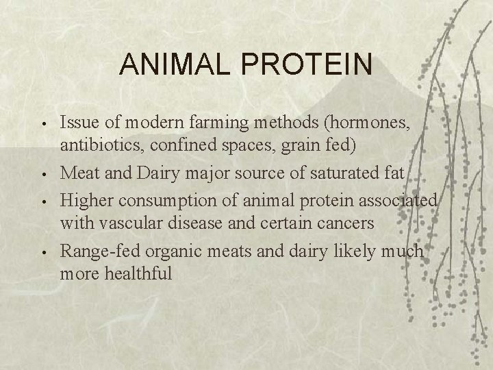 ANIMAL PROTEIN • • Issue of modern farming methods (hormones, antibiotics, confined spaces, grain