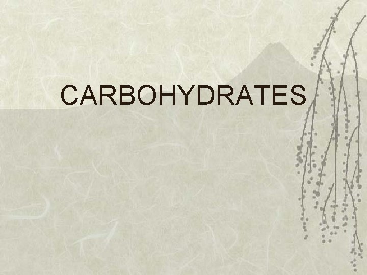 CARBOHYDRATES 