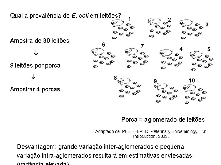 Qual a prevalência de E. coli em leitões? Amostra de 30 leitões 9 leitões