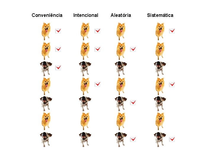 Conveniência Intencional Aleatória Sistemática 