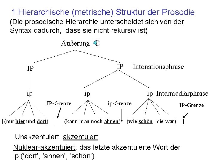1. Hierarchische (metrische) Struktur der Prosodie (Die prosodische Hierarchie unterscheidet sich von der Syntax