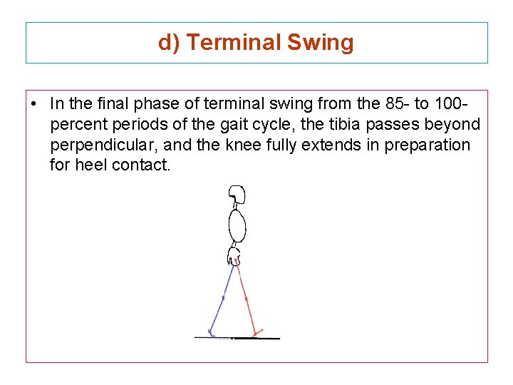 d) Terminal Swing • In the final phase of terminal swing from the 85