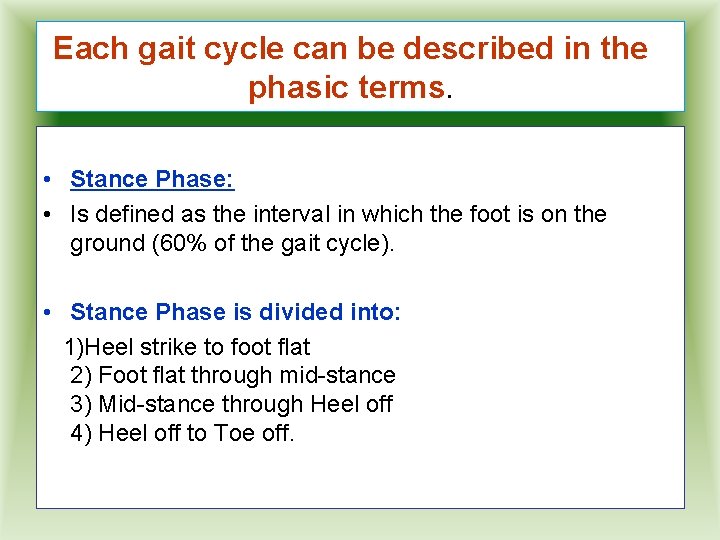 Each gait cycle can be described in the phasic terms. • Stance Phase: •