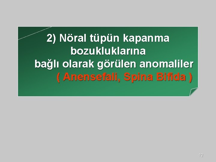 2) Nöral tüpün kapanma bozukluklarına bağlı olarak görülen anomaliler ( Anensefali, Spina Bifida )