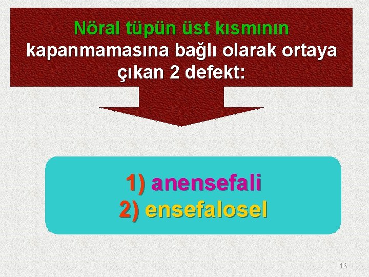 Nöral tüpün üst kısmının kapanmamasına bağlı olarak ortaya çıkan 2 defekt: 1) anensefali 2)