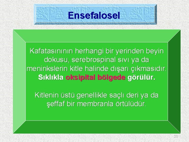 Ensefalosel Kafatasınının herhangi bir yerinden beyin dokusu, serebrospinal sıvı ya da meninkslerin kitle halinde