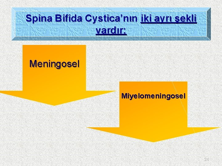 Spina Bifida Cystica’nın iki ayrı şekli vardır: Meningosel Miyelomeningosel 24 