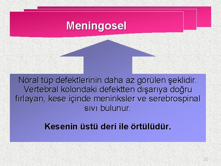 Meningosel Nöral tüp defektlerinin daha az görülen şeklidir. Vertebral kolondaki defektten dışarıya doğru fırlayan,