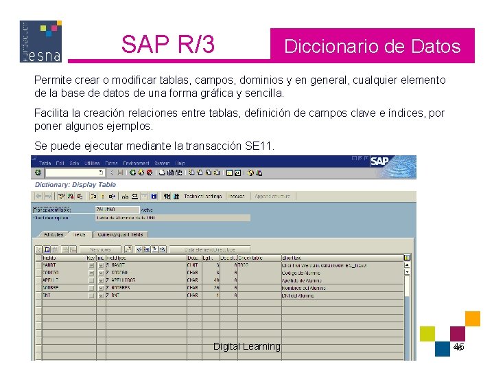 SAP R/3 Diccionario de Datos Permite crear o modificar tablas, campos, dominios y en