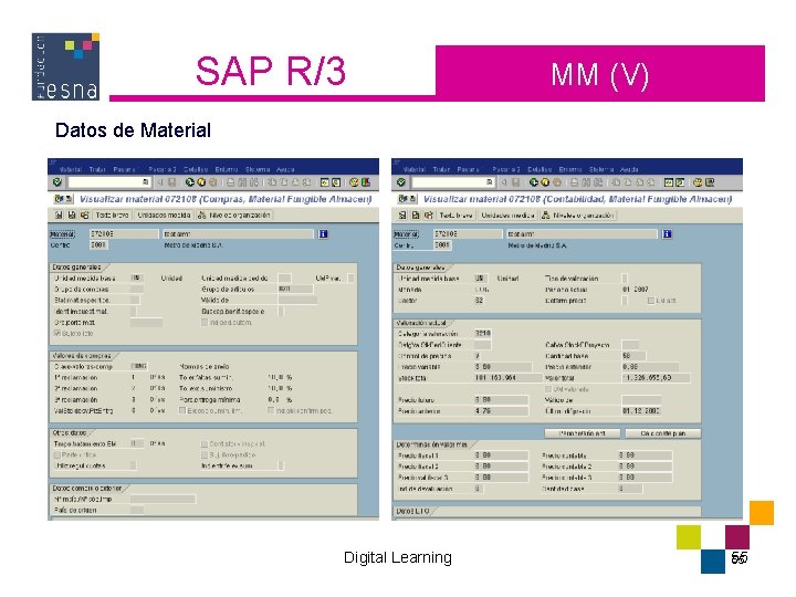 SAP R/3 MM (V) Datos de Material Digital Learning 55 55 