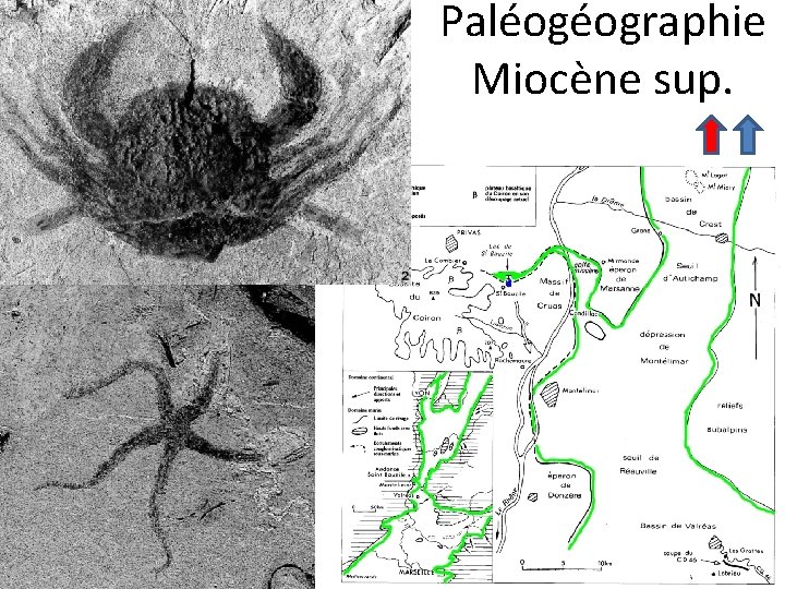 Paléogéographie Miocène sup. 