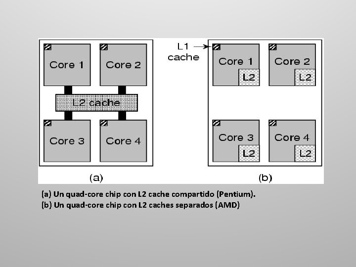 (a) Un quad-core chip con L 2 cache compartido (Pentium). (b) Un quad-core chip