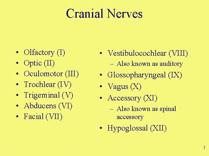 Cranial Nerves • • Olfactory (I) Optic (II) Oculomotor (III) Trochlear (IV) Trigeminal (V)