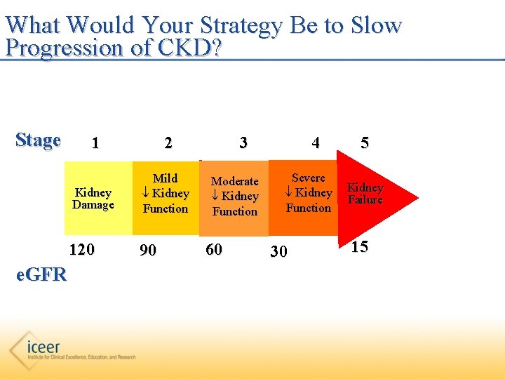 What Would Your Strategy Be to Slow Progression of CKD? Stage e. GFR 1