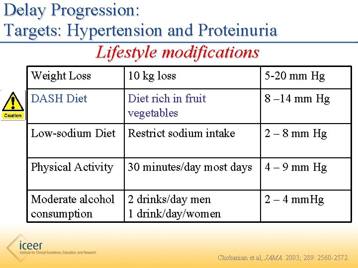 Delay Progression: Targets: Hypertension and Proteinuria Lifestyle modifications Weight Loss 10 kg loss 5