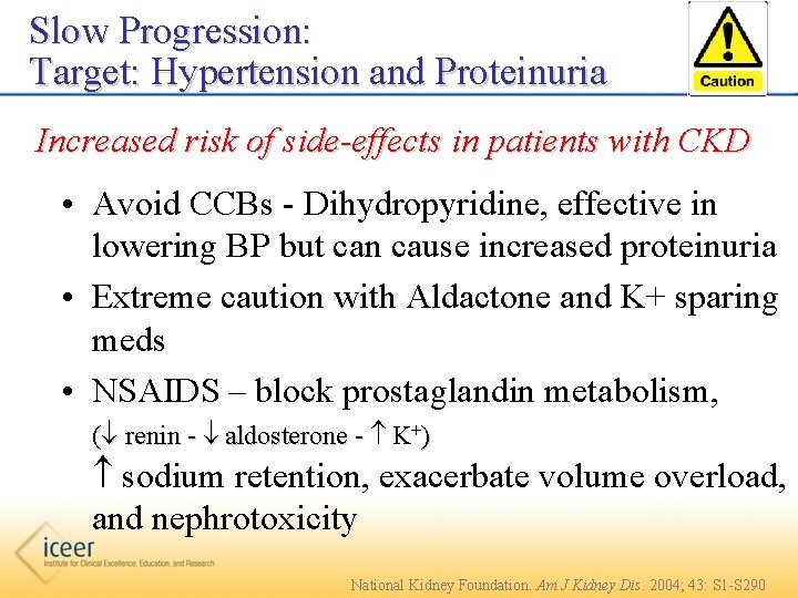 Slow Progression: Target: Hypertension and Proteinuria Increased risk of side-effects in patients with CKD