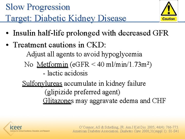 Slow Progression Target: Diabetic Kidney Disease • Insulin half-life prolonged with decreased GFR •