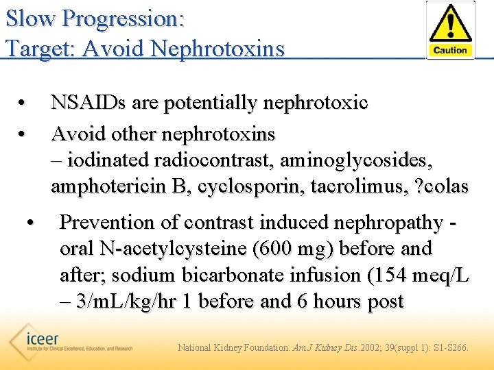 Slow Progression: Target: Avoid Nephrotoxins • • NSAIDs are potentially nephrotoxic Avoid other nephrotoxins