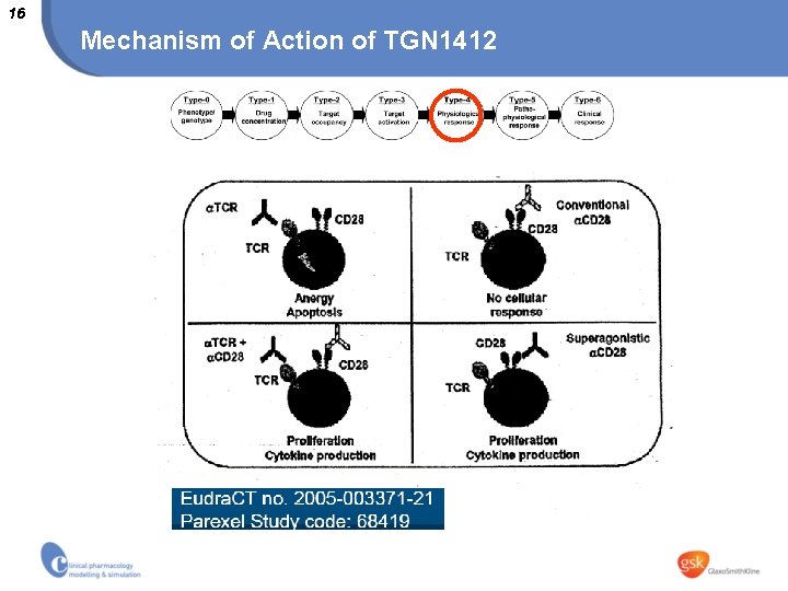 16 Mechanism of Action of TGN 1412 