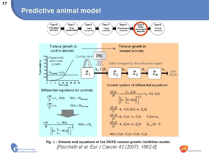17 Predictive animal model [Rocchetti et al. Eur J Cancer 43 (2007): 1862 -8]