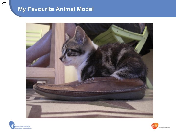 20 My Favourite Animal Model 