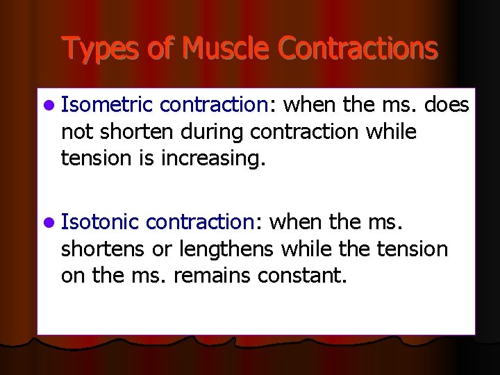 Types of Muscle Contractions l Isometric contraction: when the ms. does not shorten during