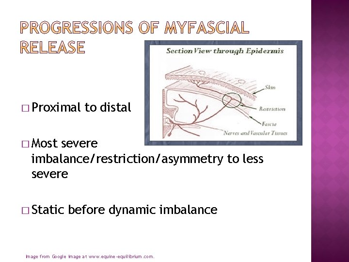 � Proximal to distal � Most severe imbalance/restriction/asymmetry to less severe � Static before