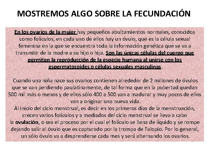 MOSTREMOS ALGO SOBRE LA FECUNDACIÓN En los ovarios de la mujer hay pequeños abultamientos MOSTREMOS ALGO SOBRE LA FECUNDACIÓN En los ovarios de la mujer hay pequeños abultamientos