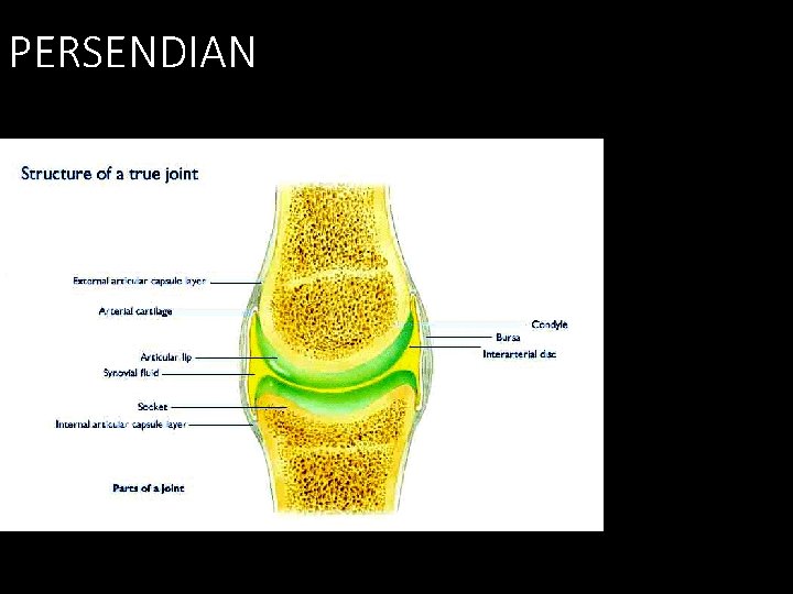 PERSENDIAN 