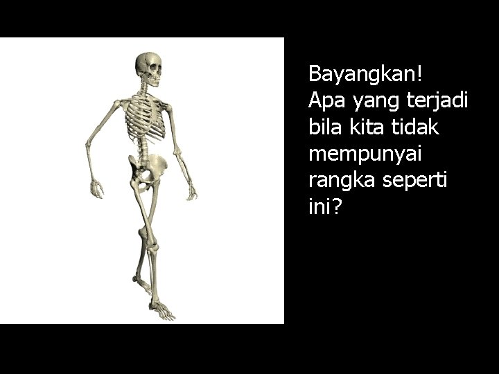 Bayangkan! Apa yang terjadi bila kita tidak mempunyai rangka seperti ini? 