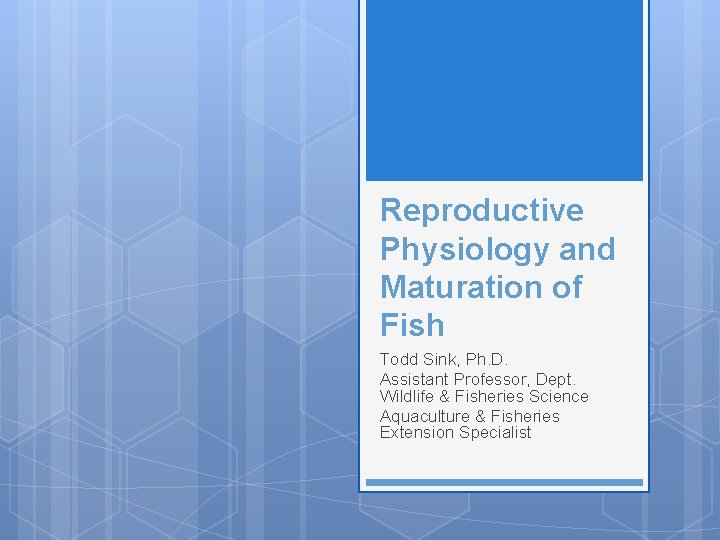 Reproductive Physiology and Maturation of Fish Todd Sink, Ph. D. Assistant Professor, Dept. Wildlife