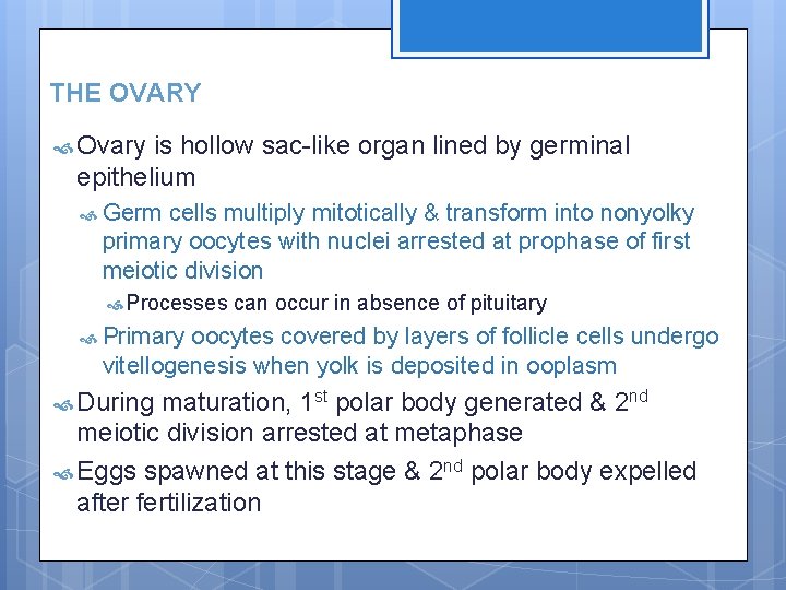 THE OVARY Ovary is hollow sac-like organ lined by germinal epithelium Germ cells multiply