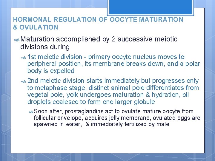 HORMONAL REGULATION OF OOCYTE MATURATION & OVULATION Maturation accomplished by 2 successive meiotic divisions