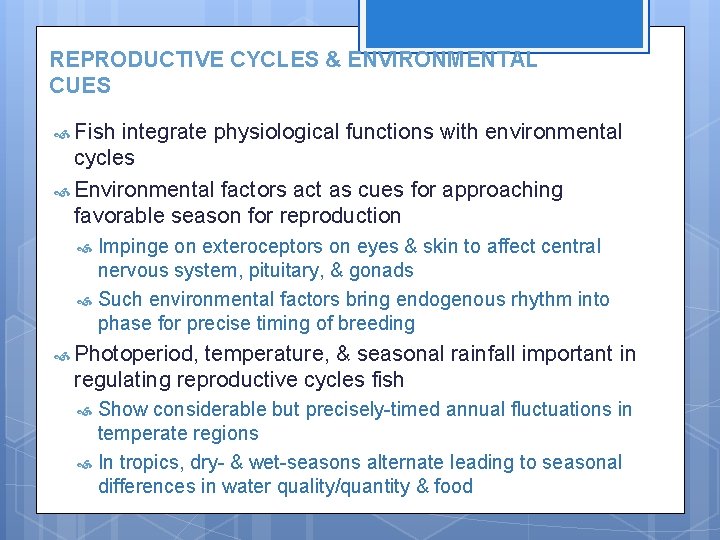 REPRODUCTIVE CYCLES & ENVIRONMENTAL CUES Fish integrate physiological functions with environmental cycles Environmental factors